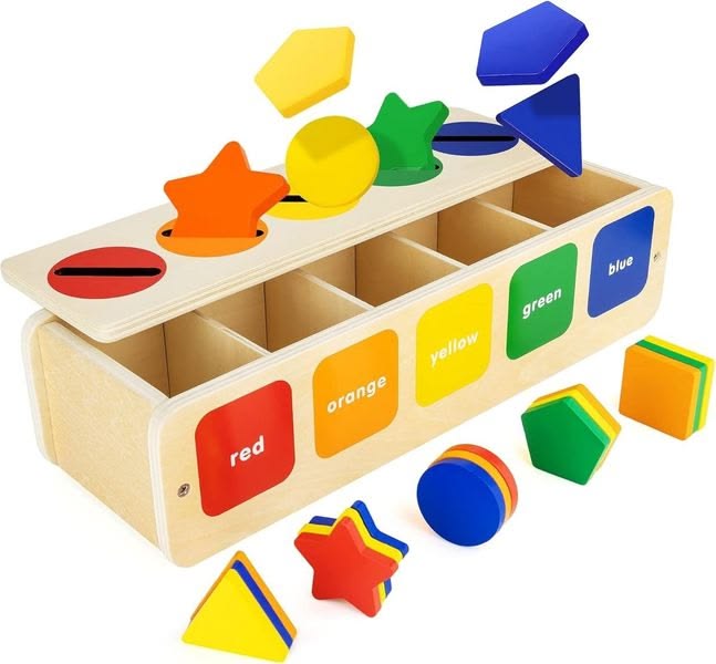 Wooden Shape Sorter Toy for Children, Stacking&Color Sorting Educational Blocks