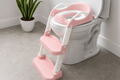 Potty Training Seat With Ladder